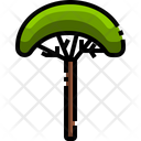 پیش‌نمایش فایل plant-3507169 از پک درخت