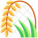 پیش‌نمایش فایل rice-plant-3506694 از پک تایلند