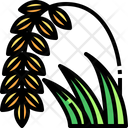 پیش‌نمایش فایل rice-plant-3506634 از پک تایلند