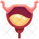 پیش‌نمایش فایل bladder-3567032 از پک قطعه بدن انسان