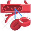 پیش‌نمایش فایل blood-cell-3567035 از پک قطعه بدن انسان