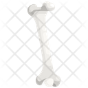 پیش‌نمایش فایل bone-3567043 از پک قطعه بدن انسان