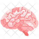 پیش‌نمایش فایل brain-3567030 از پک قطعه بدن انسان