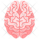 پیش‌نمایش فایل brain-3567031 از پک قطعه بدن انسان