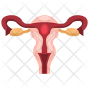 پیش‌نمایش فایل female-reproductive-system-3567039 از پک قطعه بدن انسان
