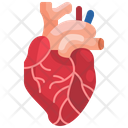 پیش‌نمایش فایل heart-3567024 از پک قطعه بدن انسان