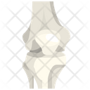 پیش‌نمایش فایل knee-3567041 از پک قطعه بدن انسان