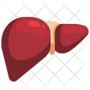 پیش‌نمایش فایل liver-3567052 از پک قطعه بدن انسان