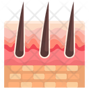 پیش‌نمایش فایل skin-3567047 از پک قطعه بدن انسان