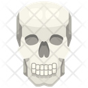 پیش‌نمایش فایل skull-3567045 از پک قطعه بدن انسان