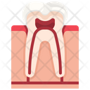 پیش‌نمایش فایل tooth-3567048 از پک قطعه بدن انسان
