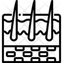 پیش‌نمایش فایل skin-3567018 از پک قطعه بدن انسان
