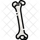 پیش‌نمایش فایل bone-3566985 از پک قطعه بدن انسان
