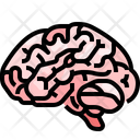 پیش‌نمایش فایل brain-3566972 از پک قطعه بدن انسان