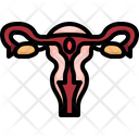 پیش‌نمایش فایل female-reproductive-system-3566981 از پک قطعه بدن انسان