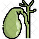 پیش‌نمایش فایل gallbladder-3566975 از پک قطعه بدن انسان