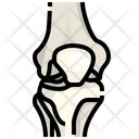 پیش‌نمایش فایل knee-3566983 از پک قطعه بدن انسان