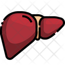 پیش‌نمایش فایل liver-3566964 از پک قطعه بدن انسان