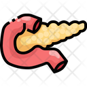 پیش‌نمایش فایل pancreas-3566969 از پک قطعه بدن انسان