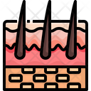 پیش‌نمایش فایل skin-3566989 از پک قطعه بدن انسان