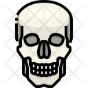 پیش‌نمایش فایل skull-3566987 از پک قطعه بدن انسان