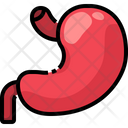 پیش‌نمایش فایل stomach-3566965 از پک قطعه بدن انسان
