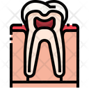 پیش‌نمایش فایل tooth-3566990 از پک قطعه بدن انسان