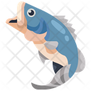 پیش‌نمایش فایل fish-3610961 از پک ماهیگیری