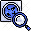 پیش‌نمایش فایل petri-dish-3669060 از پک بیمارستان، جلد ۲