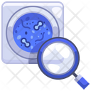 پیش‌نمایش فایل petri-dish-3669120 از پک بیمارستان، جلد ۲