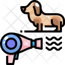 پیش‌نمایش فایل dog-drying-3679444 از پک آراستگی حیوان خانگی