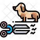 پیش‌نمایش فایل dog-hair-cutting-3679445 از پک آراستگی حیوان خانگی