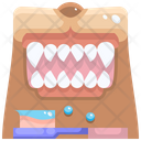 پیش‌نمایش فایل dog-teeth-cleaning-3679489 از پک آراستگی حیوان خانگی