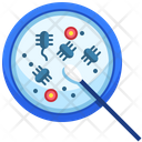 پیش‌نمایش فایل bacteria-3697458 از پک علم
