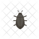 پیش‌نمایش فایل beetle-12656557 از پک حیوان