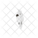 پیش‌نمایش فایل bird-12656563 از پک حیوان