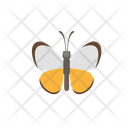 پیش‌نمایش فایل butterfly-12656566 از پک حیوان