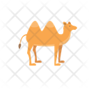 پیش‌نمایش فایل camel-12656567 از پک حیوان