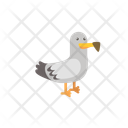 پیش‌نمایش فایل dove-12656564 از پک حیوان