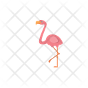 پیش‌نمایش فایل flamingo-12656577 از پک حیوان