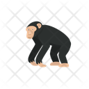 پیش‌نمایش فایل monkey-12656588 از پک حیوان