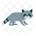 پیش‌نمایش فایل raccoon-12656593 از پک حیوان