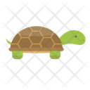 پیش‌نمایش فایل turtle-12656600 از پک حیوان