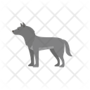 پیش‌نمایش فایل wolf-12656603 از پک حیوان