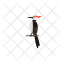 پیش‌نمایش فایل woodpecker-12656559 از پک حیوان