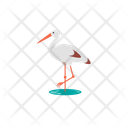 پیش‌نمایش فایل ardea-12632122 از پک حیوان