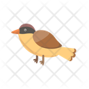 پیش‌نمایش فایل bird-12632124 از پک حیوان