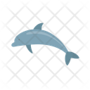 پیش‌نمایش فایل dolphin-12632109 از پک حیوان