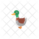 پیش‌نمایش فایل duck-12632110 از پک حیوان