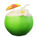 پیش‌نمایش فایل coconut-drink-5553279 از پک تابستان